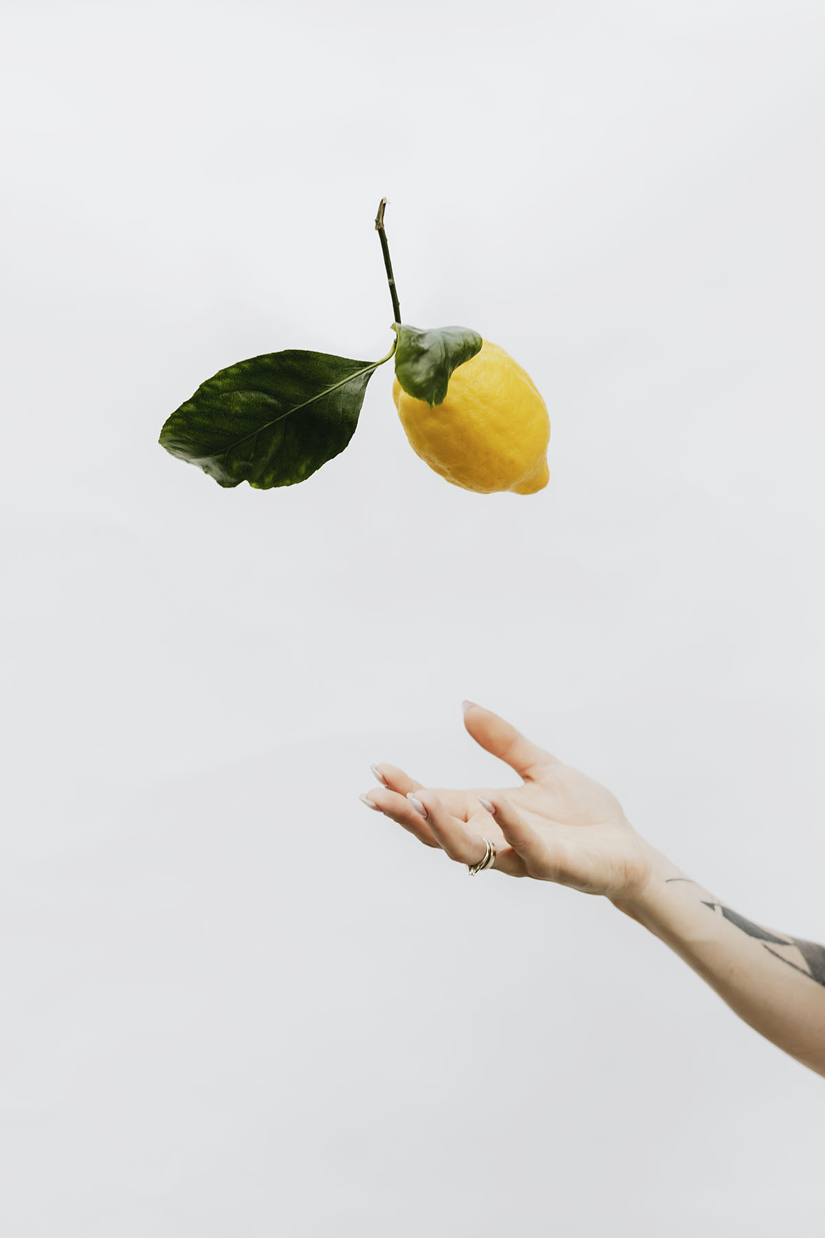 tattooed-hand-throwing-a-lemon-up-in-a-gray-sky-D86NACC.jpg